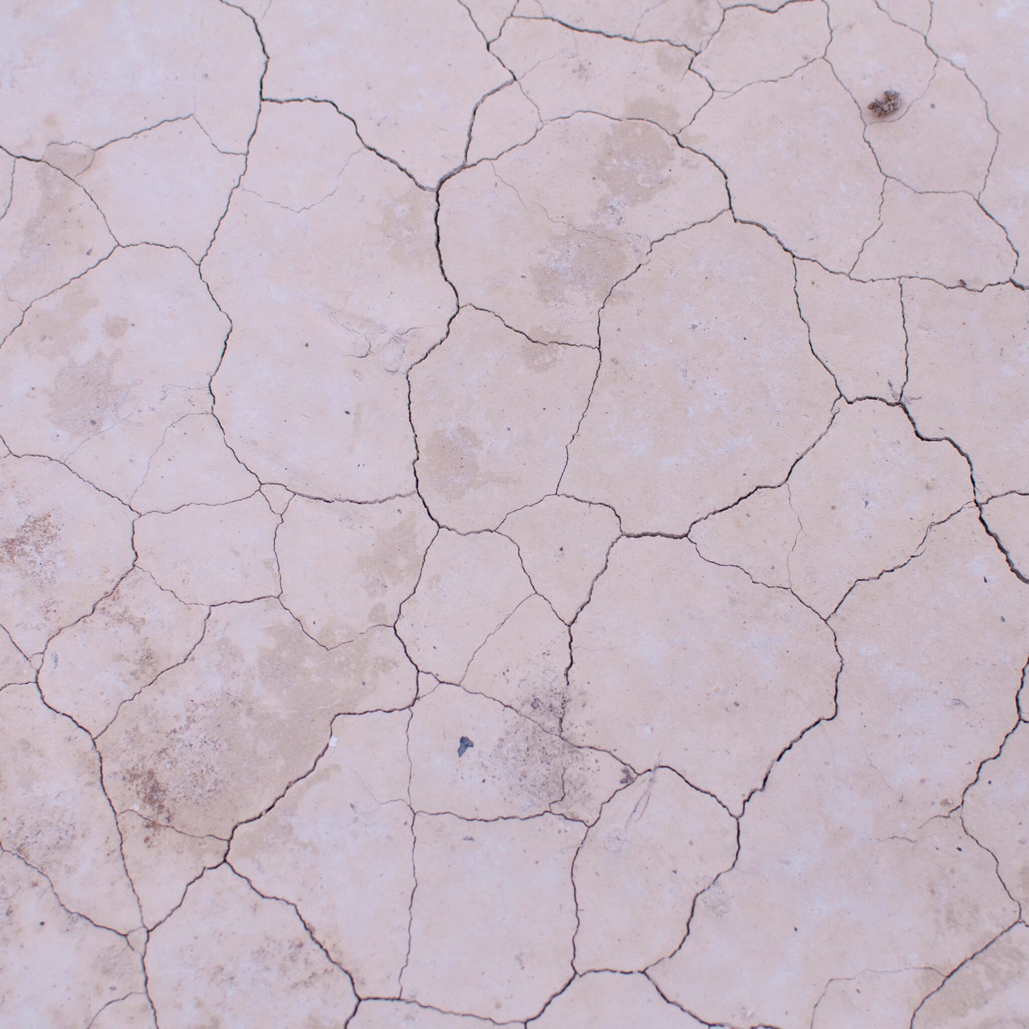 Skincare solutions for dry skin: what products to use and how to restore balance?