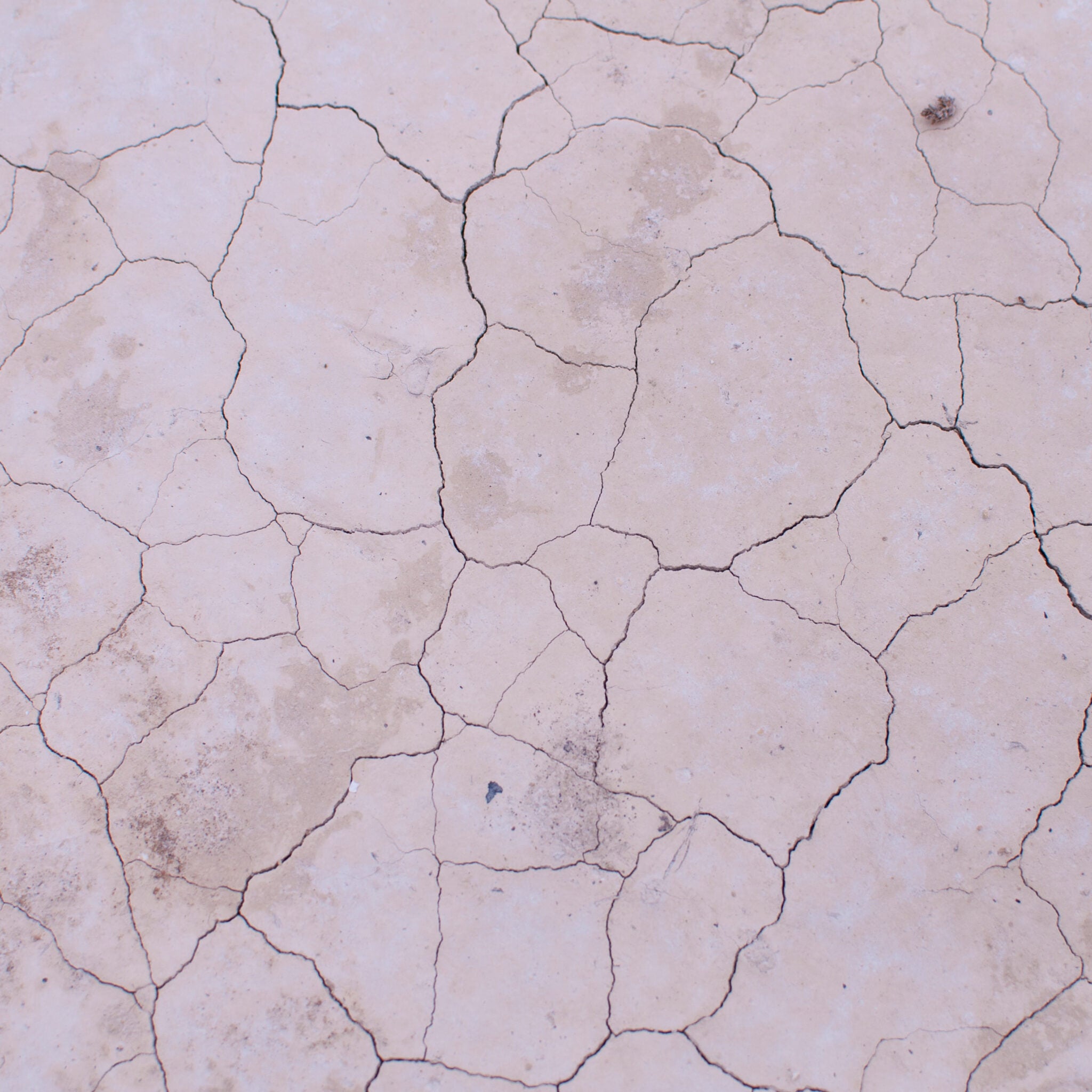 Skincare solutions for dry skin: what products to use and how to restore balance?